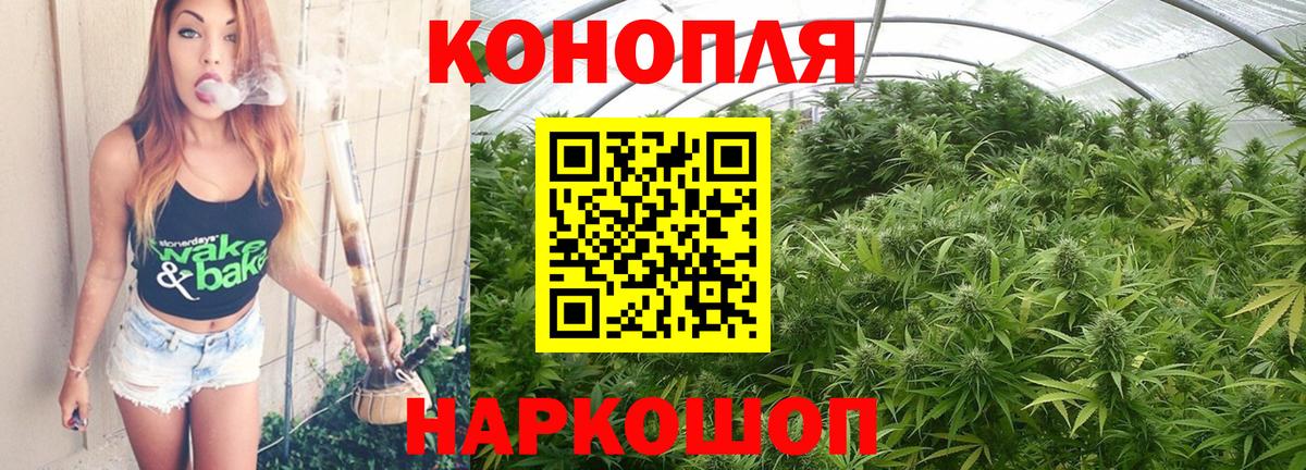 Шишки марихуана ГИДРОПОН  Бошки Шишки конопля  Вход с VPN  Михайловка  Конопля Amnesia  Каннабис MAZAR 